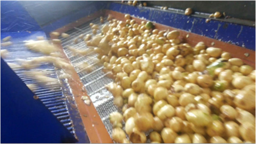 不同規(guī)格的淀粉加工設備工藝流程與配置分析