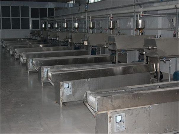 粉條機(jī) 粉條機(jī)